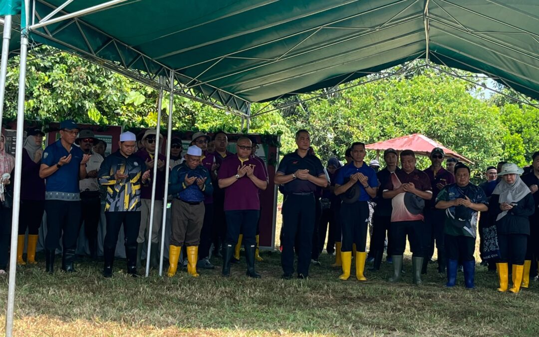 MAJLIS PELANCARAN PROJEK PENANAMAN PADI HIBRID